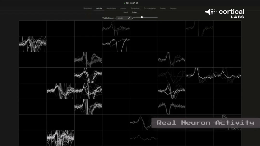 费德勒,澳网金牌志,在必得,完美体育,WMSports,完美体育注册网址,完美体育app,完美体育官网,完美体育网站,完美体育下载