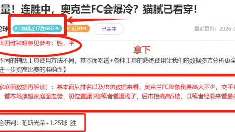 贝尔热姆高效破门20-25球，莫德里奇关键助攻扭转战局——安帅点评