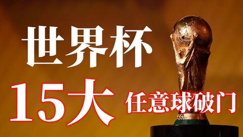 林诗栋崭露头角，有望超越王楚钦，登顶体育京报头版！